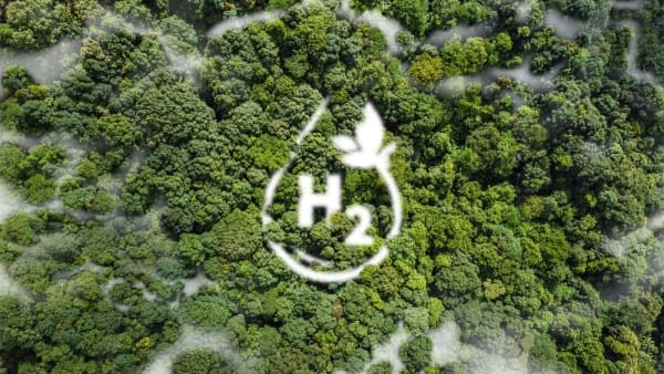 hydrogen molecule graphic laid over a forest